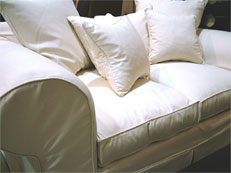 Professional Leather and Upholstery Cleaning Professional Leather and Upholstery Cleaning