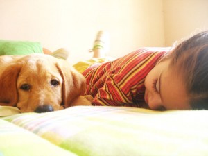 pet-allergy-carpet-cleaning pet-allergy-carpet-cleaning