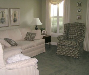 Professional Carpet Cleaning Services Professional Carpet Cleaning Services