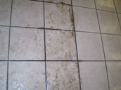 Tile and Grout Cleaning Tile and Grout Cleaning